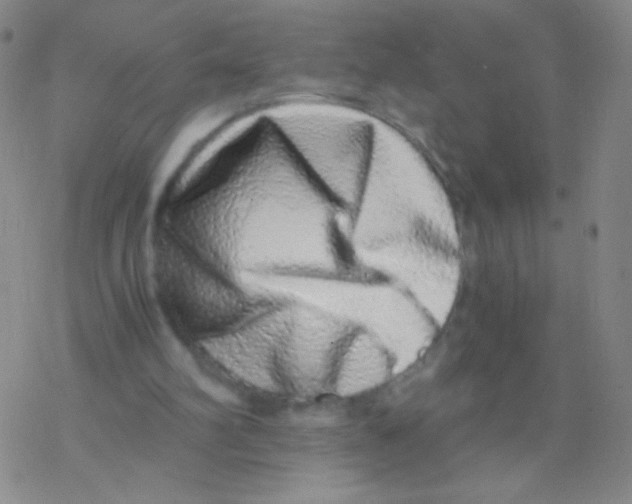 X0000076270102200610262040