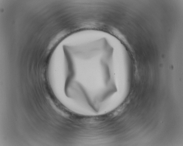 X0000076270106200610262040