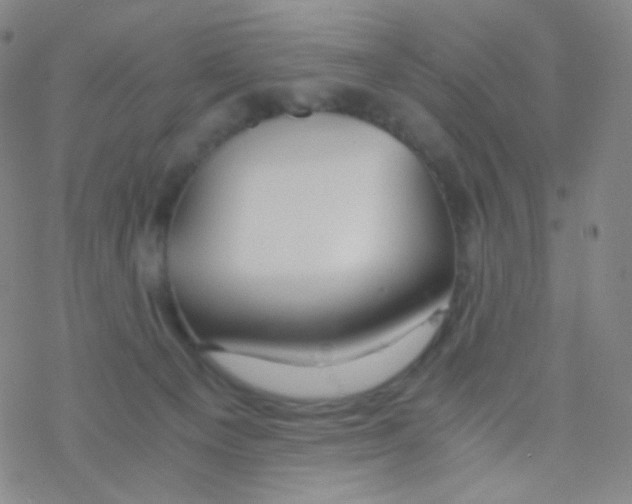 X0000076270129200610262040