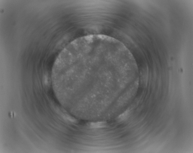 X0000076270134200610262040