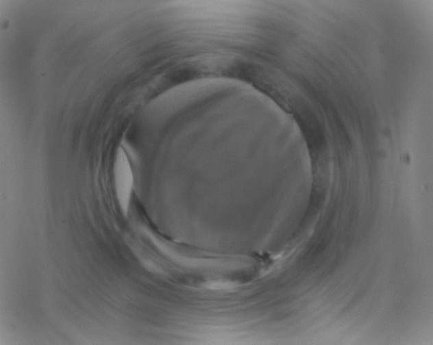 X0000076270137200610262040