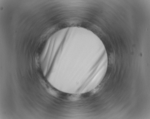 X0000076270138200610262040