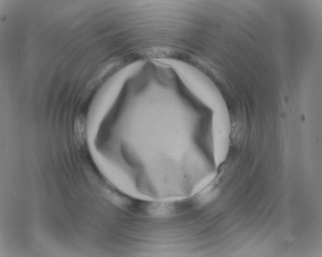 X0000076270142200610262040