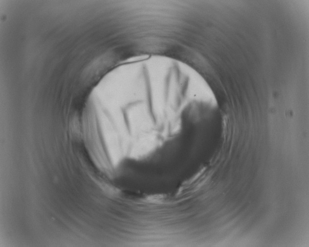 X0000076270143200610262040