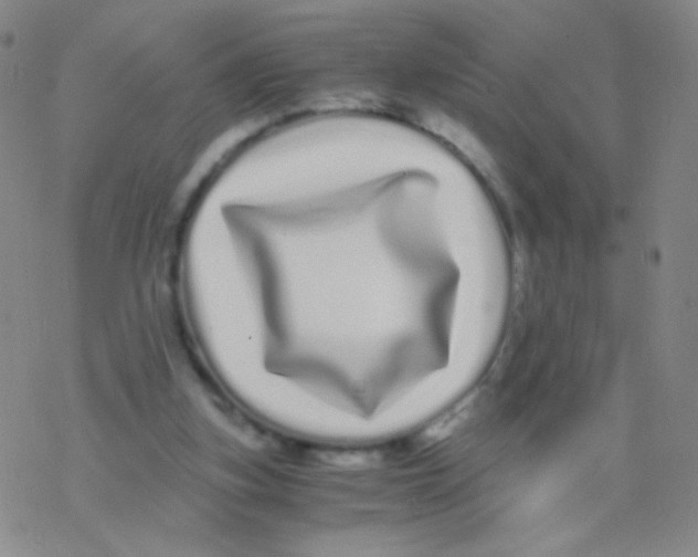 X0000076270155200610262039