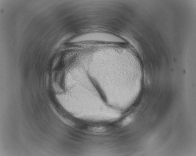 X0000076270157200610262039