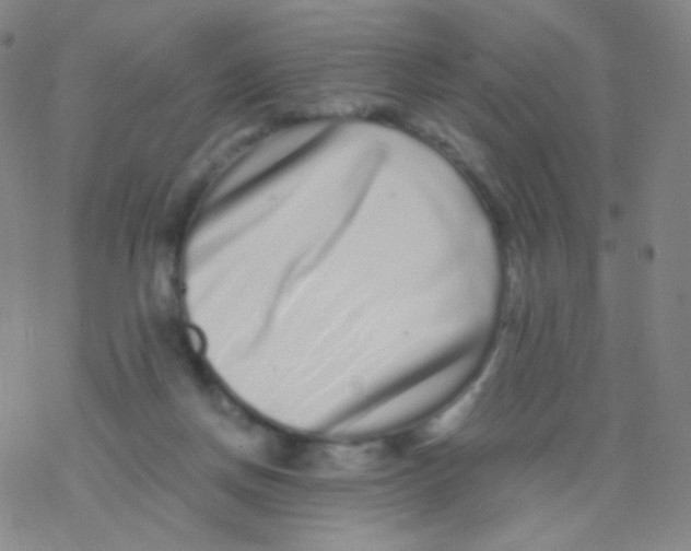 X0000076270166200610262039