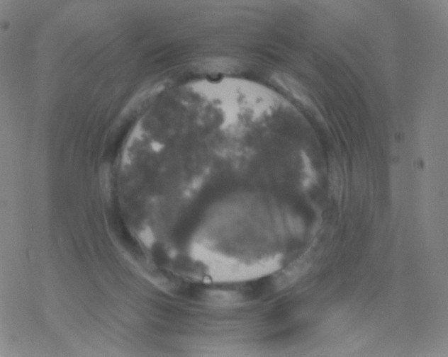 X0000076270167200610262039