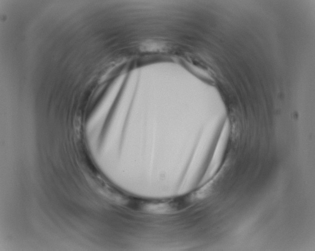 X0000076270171200610262039