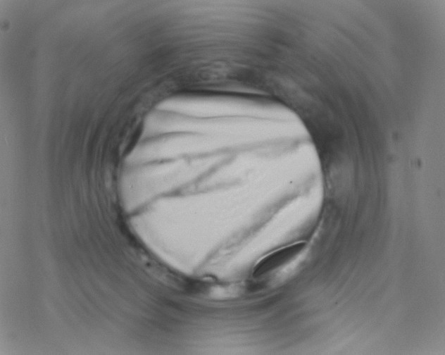 X0000076270178200610262039
