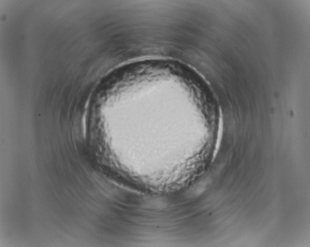 X0000076270185200610262040