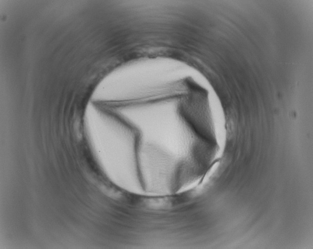 X0000076270187200610262040
