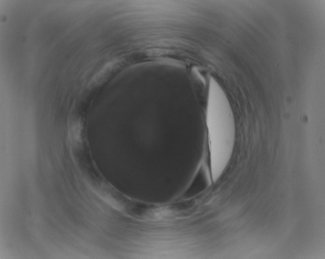X0000076270219200610262038