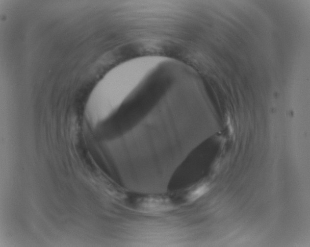 X0000076270223200610262038