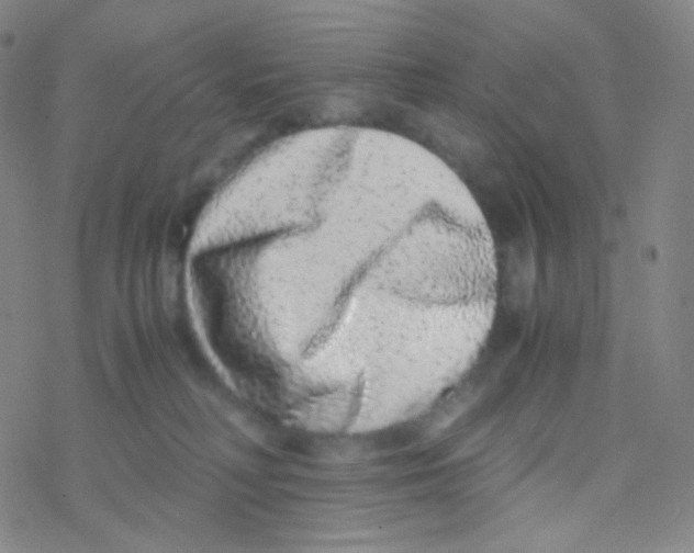 X0000076270230200610262038
