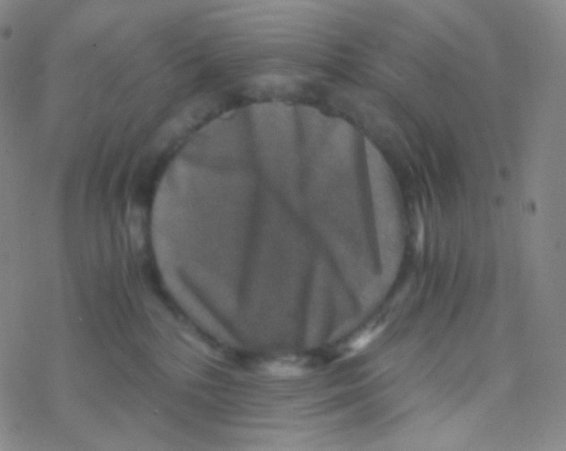 X0000076270232200610262038