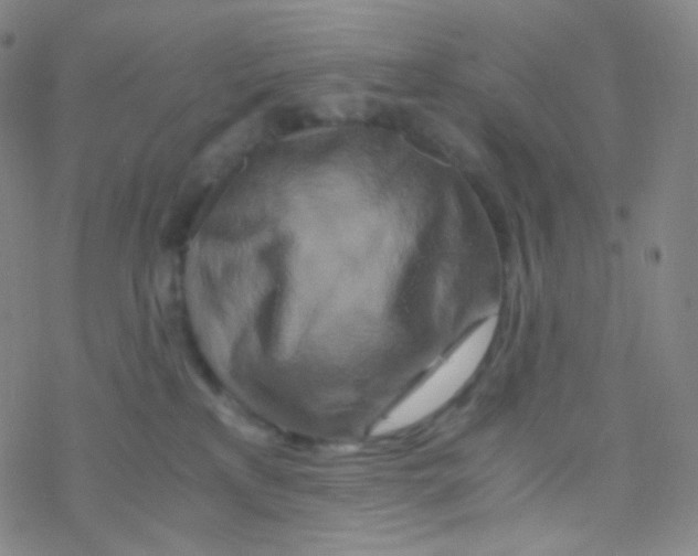 X0000076270233200610262038