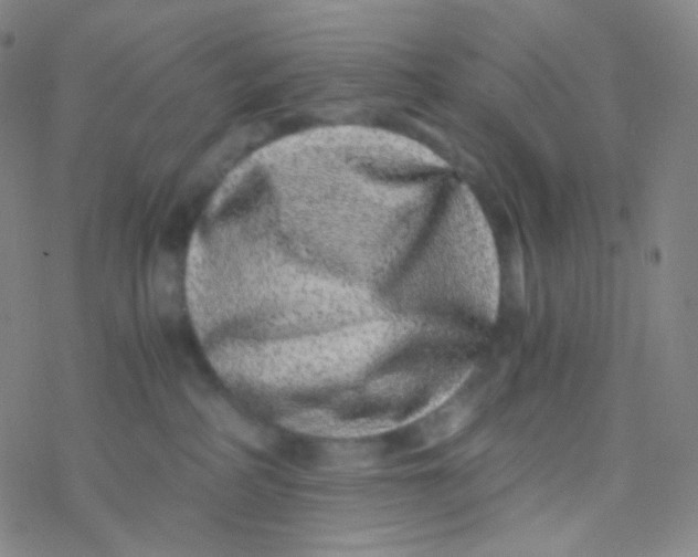 X0000076270234200610262038