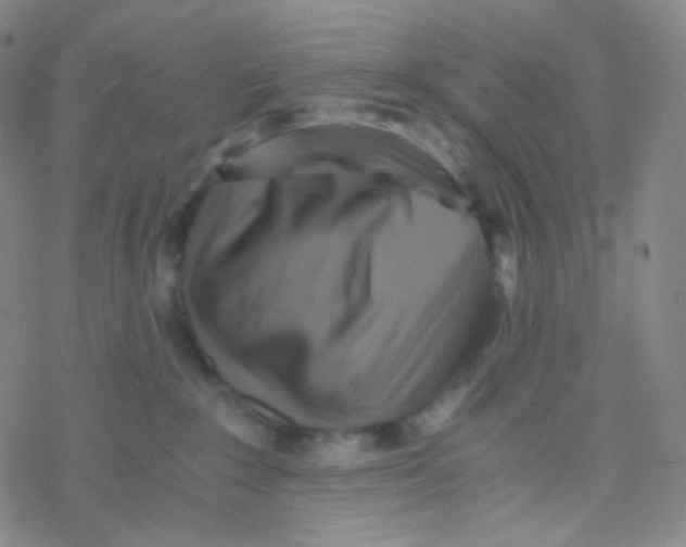 X0000076270235200610262038
