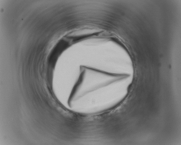 X0000076270241200610262037