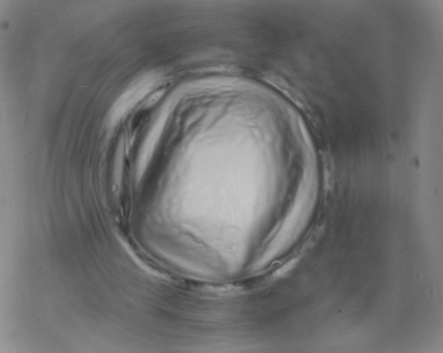 X0000076270245200610262037
