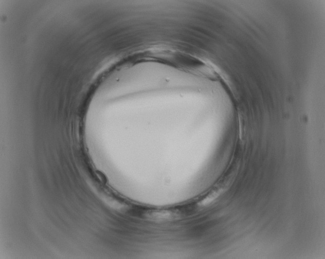 X0000076270253200610262037
