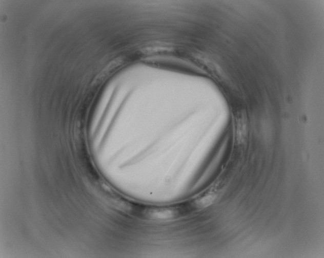 X0000076270263200610262038