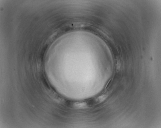 X0000076270283200610262038