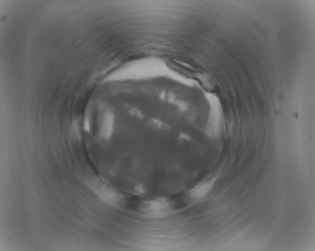 X0000076270286200610262038