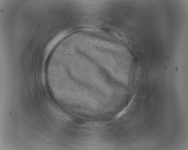 X0000076270294200610262037