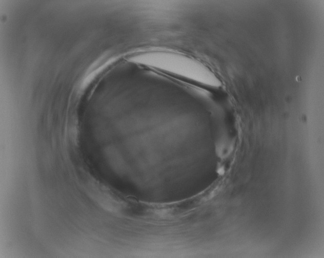 X0000076270295200610262037