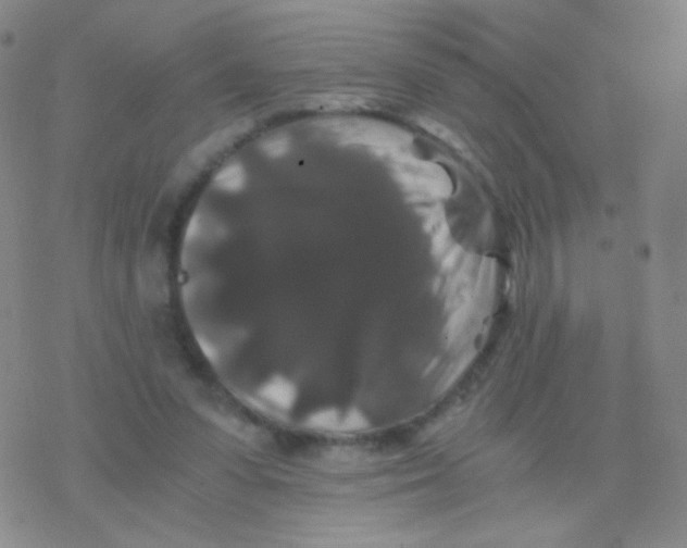 X0000076270303200610262037