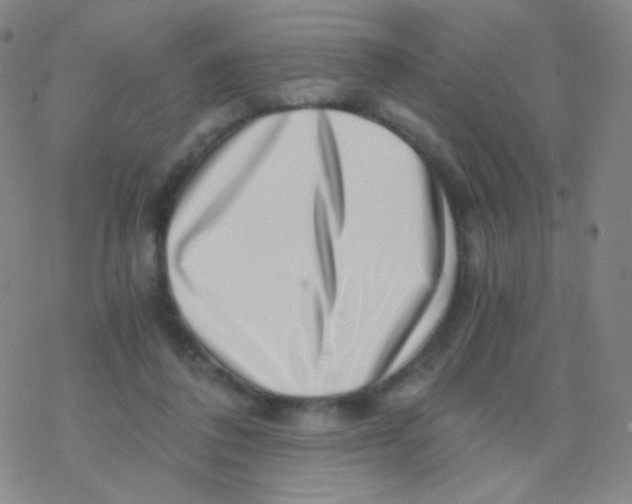 X0000076270308200610262037