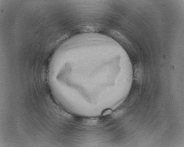 X0000076270318200610262037