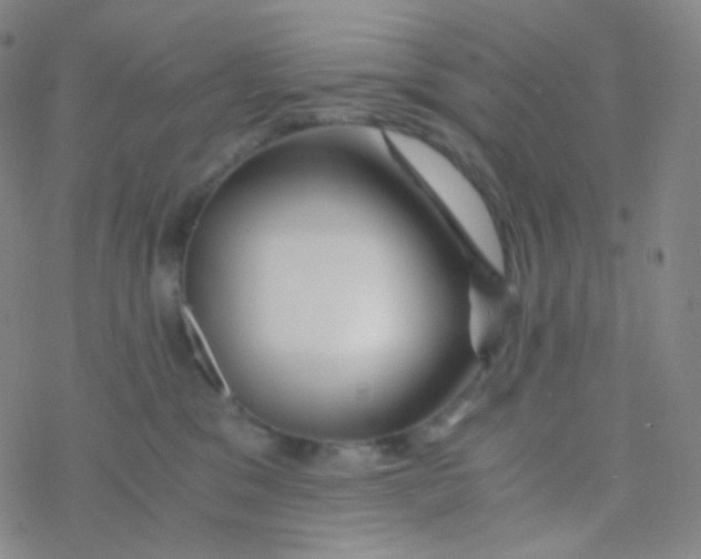 X0000076270329200610262037