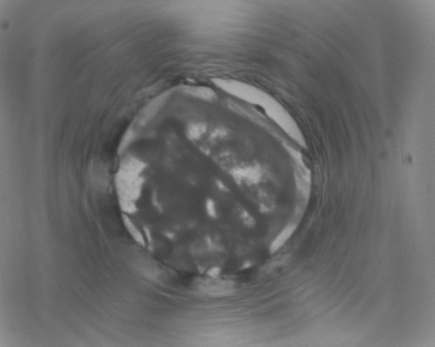 X0000076270331200610262037