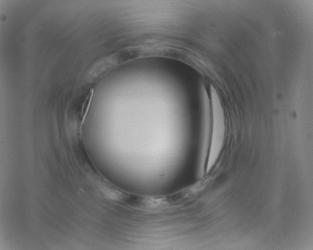 X0000076270333200610262037
