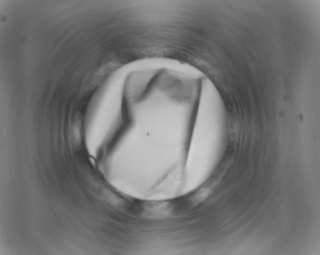 X0000076270334200610262037