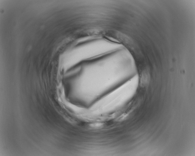 X0000076270335200610262037