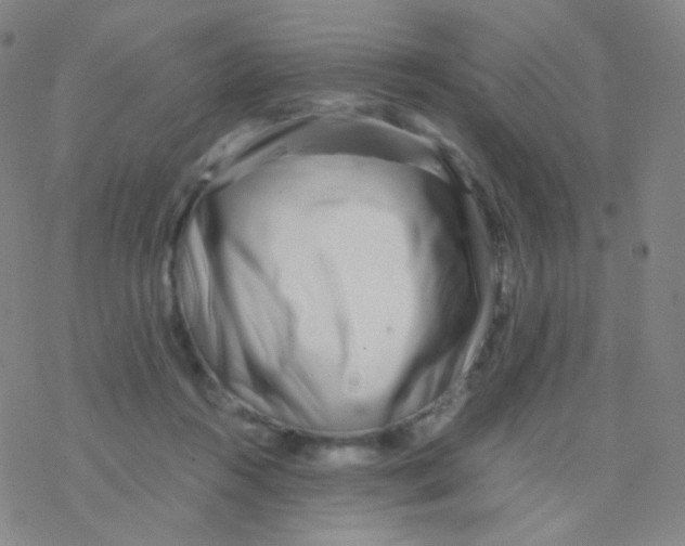 X0000076270360200610262036