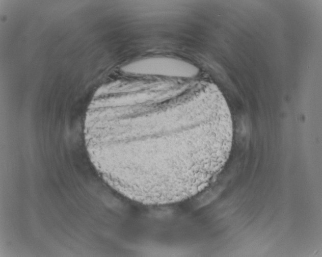 X0000076270369200610262036