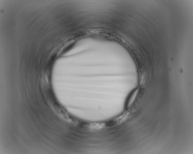 X0000076270373200610262036