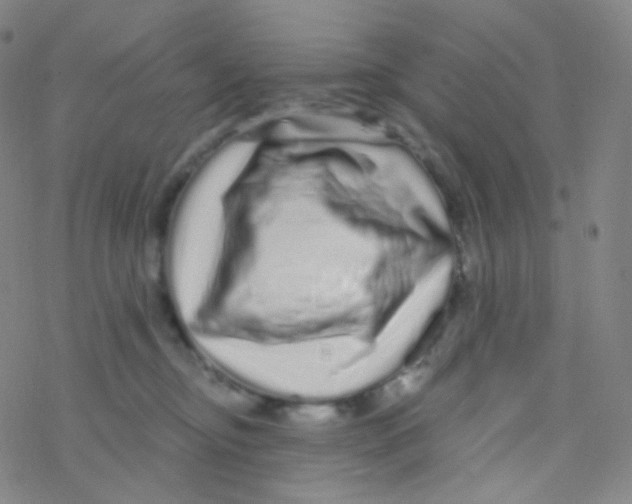 X0000076270374200610262036