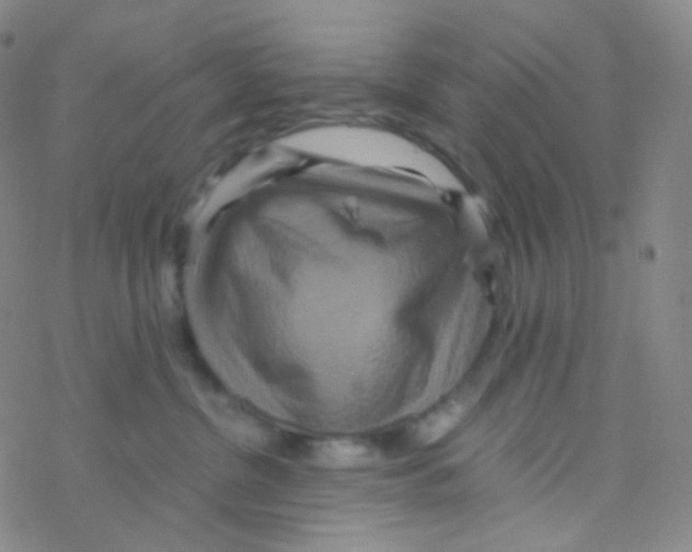 X0000076270380200610262036