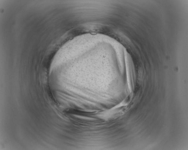 X0000076270413200610262035
