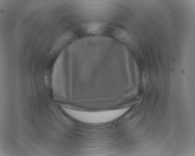 X0000076270424200610262035