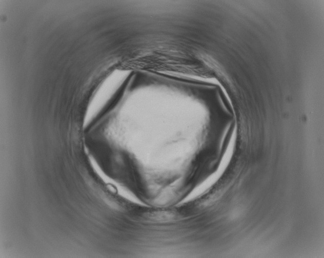 X0000076270449200610262034