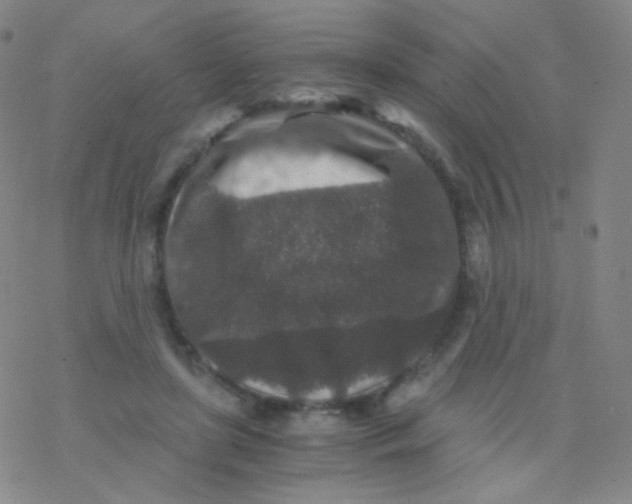 X0000076270451200610262034