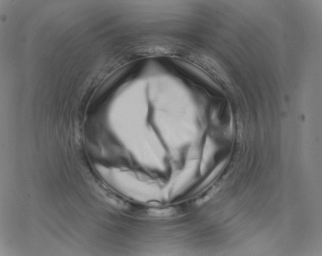 X0000076270457200610262035