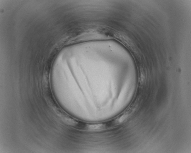 X0000076270461200610262035